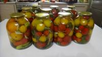 DSC01553.JPG