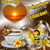 IMG-20180814-WA0008.jpg
