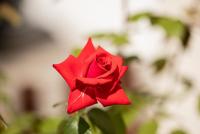 _H8A0669.jpg