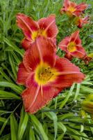 image005.jpg