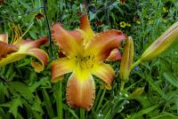 image006.jpg