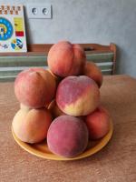 IMG_20200802_155432.jpg