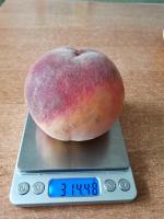 IMG_20200802_155556.jpg