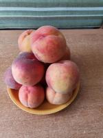 IMG_20200802_155441.jpg