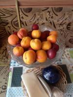 IMG_20200731_151741.jpg