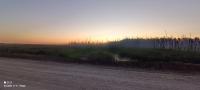 IMG_20220805_212817.jpg