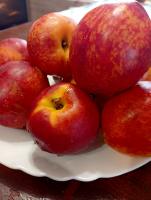 IMG_20260804_112438.jpg