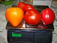 DSC08977.JPG