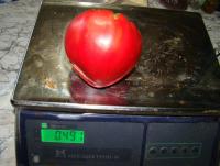 DSC08931.JPG