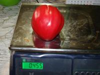 DSC08974.JPG