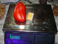 DSC08894.JPG