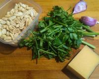 Pesto_Petrushka_1.jpg