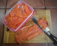 Forel_Turcia_1_2026.jpg
