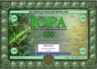 IOPA-100.jpg