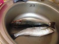 IMG_2578.JPG