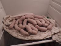 DSCN4601.JPG