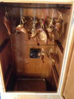IMG-20170914-WA0001.jpg