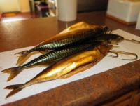 IMG_4165.JPG