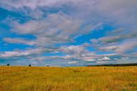 DSC_0205.JPG