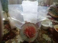 IMG_20200910_124959.jpg