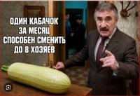 Сни5мок.JPG
