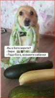 Сни4мок.JPG
