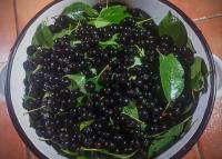 Sirop_Vishnya_Chernop_2.jpg
