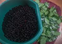 Sirop_Vishnya_Chernop_1.jpg