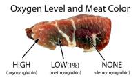 three-layers-myoglobin.jpg