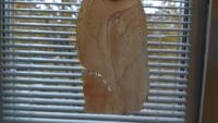 IMG_2017-10-07_145220.jpg