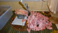 DSC02065.jpg