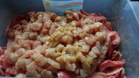 DSC02071.jpg