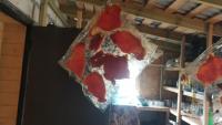 IMG_20201010_124643.jpg
