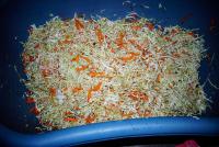 DSC01706.jpg