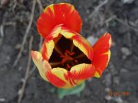 DSC01754.JPG