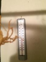 IMG_2574.JPG