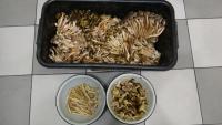 DSC01676.JPG