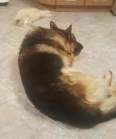 20181115_200101.jpg