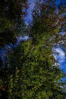 _H8A0845 (Copy).jpg