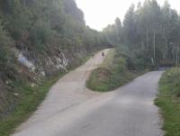 IMG_20211001_113323.jpg