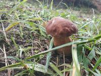 IMG_20211005_135649.jpg