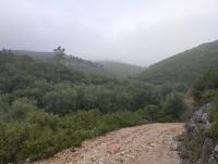 IMG_20210918_080640.jpg