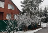 Изображение WhatsApp 2025-11-25 в 21.02.38_eb64509a.jpg