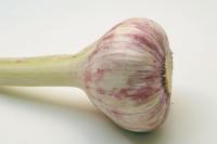 Knoblauch-frisch-gr.jpg