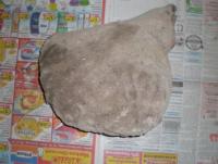 full_2aa7bd3b5b103795e65be333beae2d12.jpg