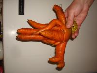 DSC02020.JPG
