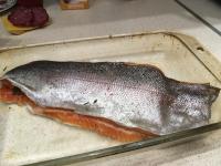 IMG_2184.JPG
