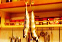 DSC02928.JPG