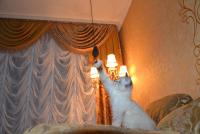 DSC_1086.JPG