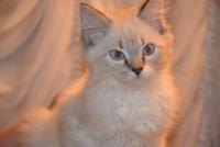 DSC_1091.JPG